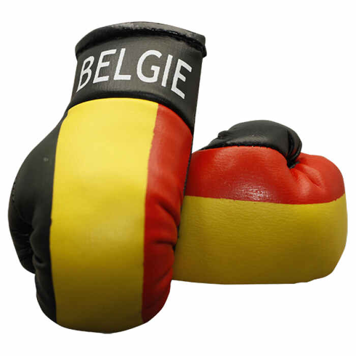 CADEAUTIP - Mini Bokshandschoenen Belgie - Jokasport.nl