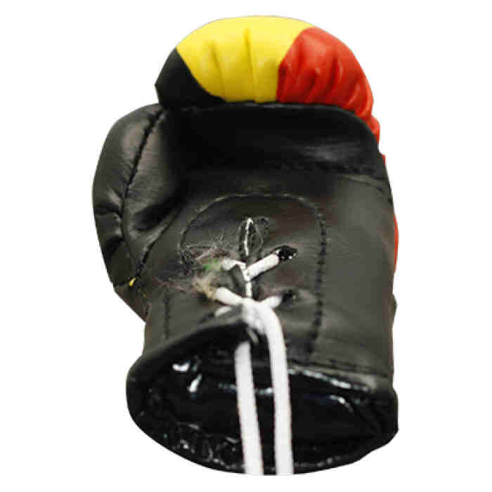 CADEAUTIP - Mini Bokshandschoenen Belgie - Jokasport.nl