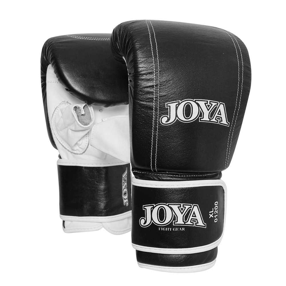 Joya Zakhandschoen Title Leather Black