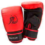 Bruce Lee Dragon Bag/Sparring Gloves – jokasport.nl
