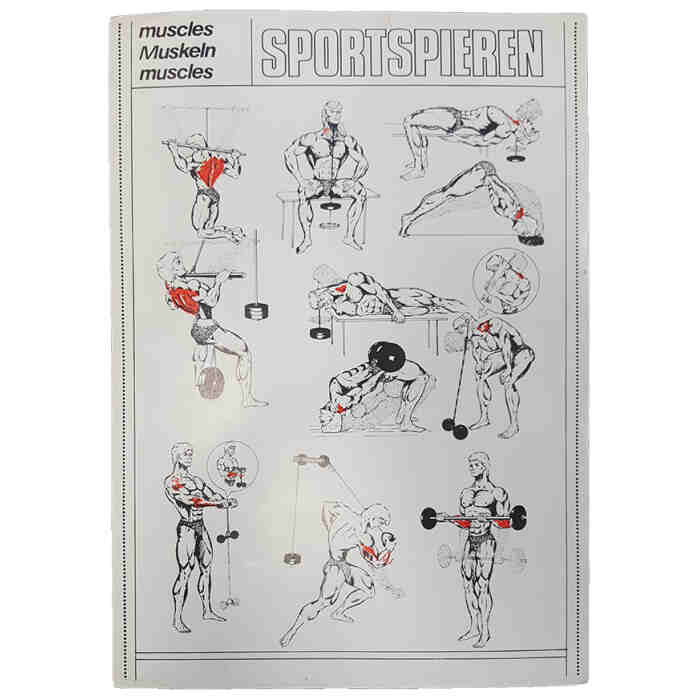 Spieren Workoutbladen +- 50 blaadjes - www.jokasport.nl
