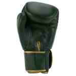 Super Pro Warrior SE Bokshandschoenen Leer Groen/Goud-311391