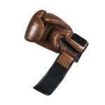 Danger BG-D Kickbokshandschoenen Leer - Retro Bruin www.jokasport.nl
