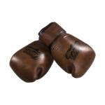 Danger BG-D Kickbokshandschoenen Leer - Retro Bruin www.jokasport.nl