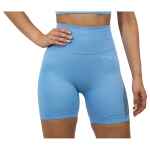 Fittastic Sportswear Shorts Sunny Blue 1