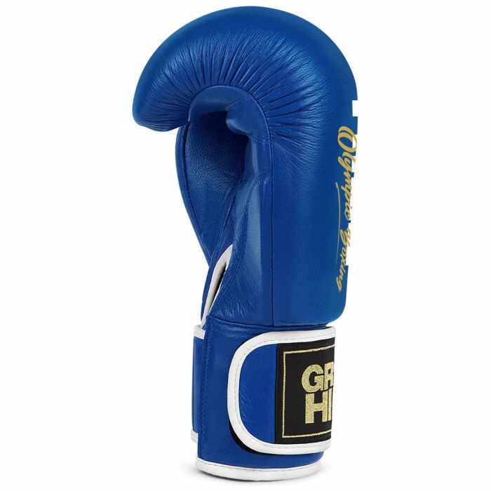 Green Hill Tiger 2.2 Bokshandschoenen - Leer - Blauw