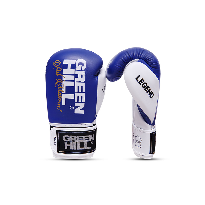 Green Hill Legend Bokshandschoenen - Leer - Blauw/Wit