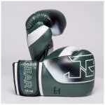 The Joyagear  Evolution Pro  Kickbokshandschoenen - Groen/Wit