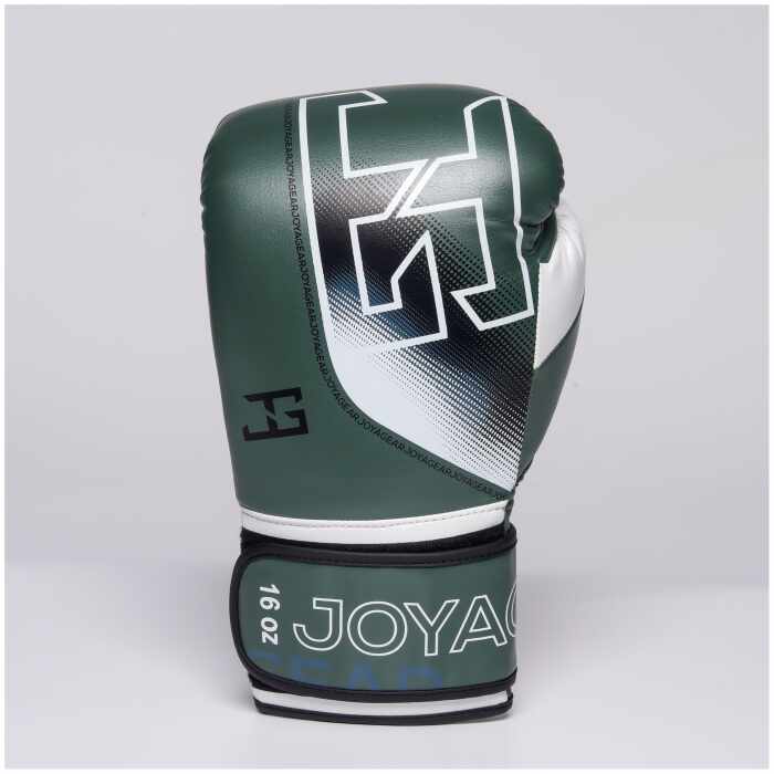 The Joyagear  Evolution Pro  Kickbokshandschoenen - Groen/Wit