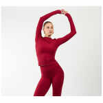 Fittastic Sportswear Longsleeve Bordeaux red