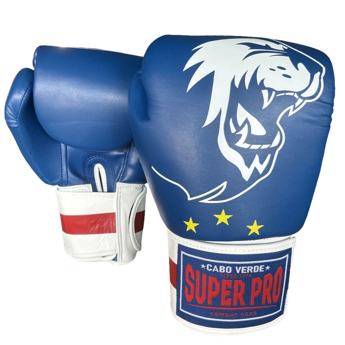 Super Pro Nations Cabo Verde Kids Bokshandschoenen